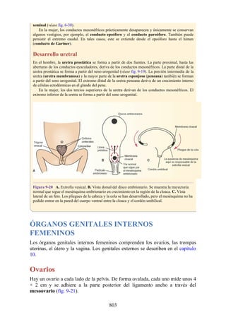 ANATOMIA SNELL 10MA EDICION ESPAÑOL.pdf