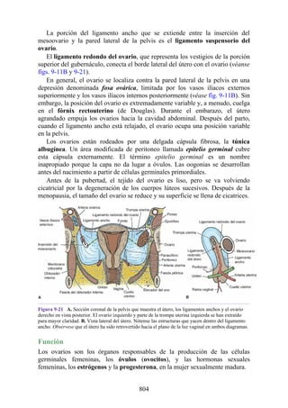 ANATOMIA SNELL 10MA EDICION ESPAÑOL.pdf