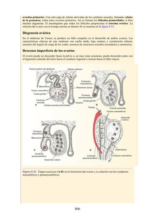 ANATOMIA SNELL 10MA EDICION ESPAÑOL.pdf