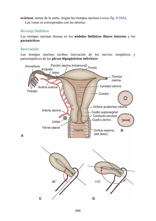 ANATOMIA SNELL 10MA EDICION ESPAÑOL.pdf