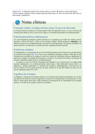 ANATOMIA SNELL 10MA EDICION ESPAÑOL.pdf