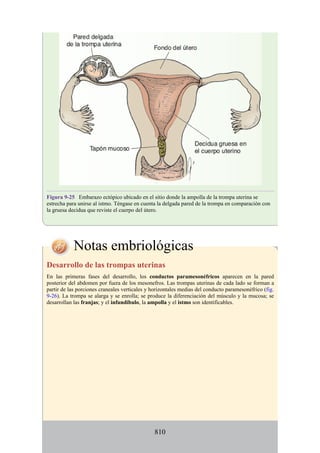 ANATOMIA SNELL 10MA EDICION ESPAÑOL.pdf