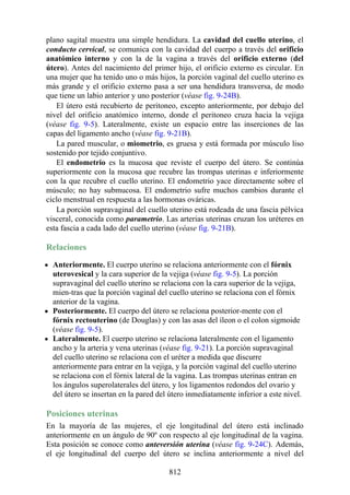 ANATOMIA SNELL 10MA EDICION ESPAÑOL.pdf
