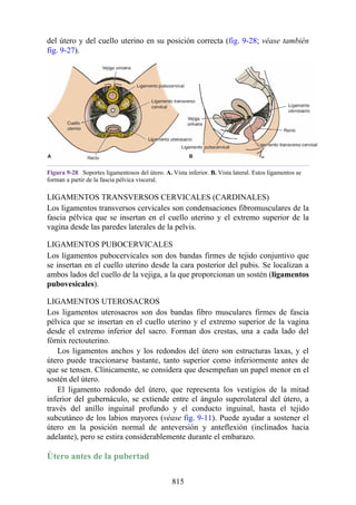 ANATOMIA SNELL 10MA EDICION ESPAÑOL.pdf