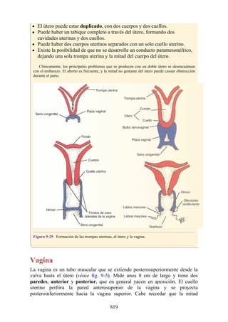 ANATOMIA SNELL 10MA EDICION ESPAÑOL.pdf