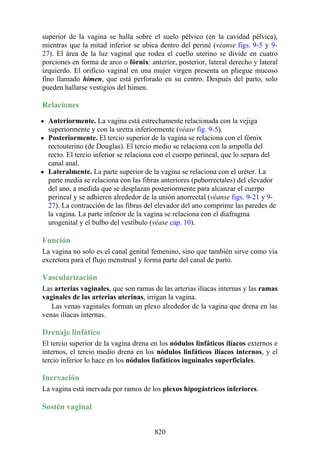 ANATOMIA SNELL 10MA EDICION ESPAÑOL.pdf