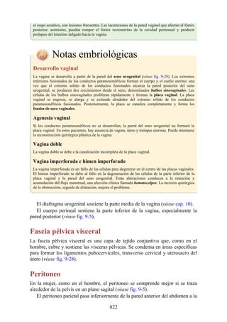 ANATOMIA SNELL 10MA EDICION ESPAÑOL.pdf
