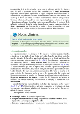 ANATOMIA SNELL 10MA EDICION ESPAÑOL.pdf