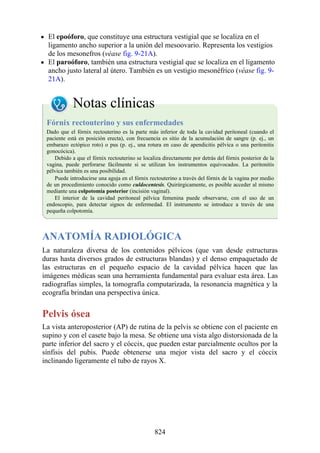 ANATOMIA SNELL 10MA EDICION ESPAÑOL.pdf