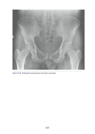 ANATOMIA SNELL 10MA EDICION ESPAÑOL.pdf