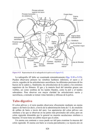 ANATOMIA SNELL 10MA EDICION ESPAÑOL.pdf