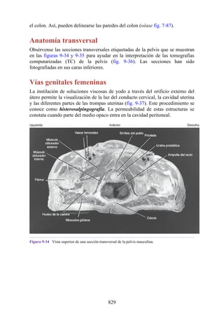 ANATOMIA SNELL 10MA EDICION ESPAÑOL.pdf