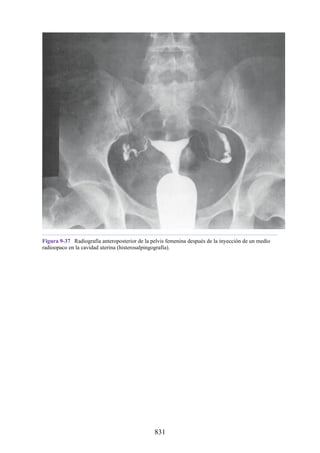 ANATOMIA SNELL 10MA EDICION ESPAÑOL.pdf
