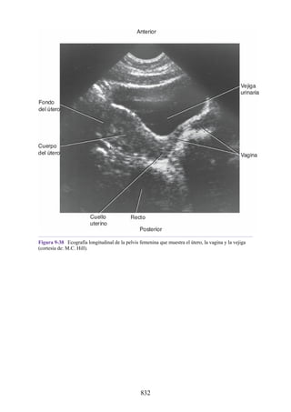 ANATOMIA SNELL 10MA EDICION ESPAÑOL.pdf