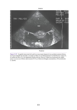 ANATOMIA SNELL 10MA EDICION ESPAÑOL.pdf