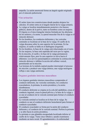 ANATOMIA SNELL 10MA EDICION ESPAÑOL.pdf