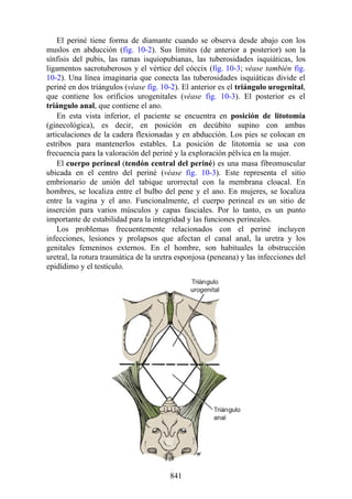 ANATOMIA SNELL 10MA EDICION ESPAÑOL.pdf