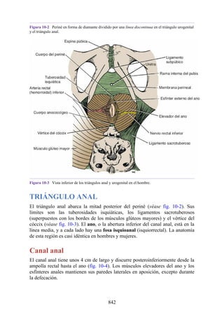 ANATOMIA SNELL 10MA EDICION ESPAÑOL.pdf