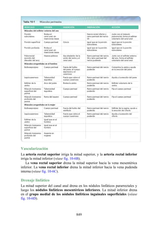 ANATOMIA SNELL 10MA EDICION ESPAÑOL.pdf
