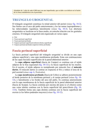 ANATOMIA SNELL 10MA EDICION ESPAÑOL.pdf