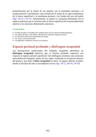 ANATOMIA SNELL 10MA EDICION ESPAÑOL.pdf