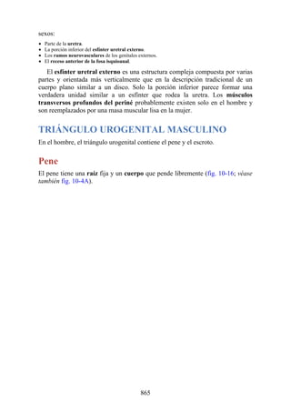ANATOMIA SNELL 10MA EDICION ESPAÑOL.pdf