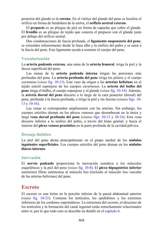 ANATOMIA SNELL 10MA EDICION ESPAÑOL.pdf
