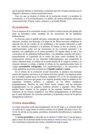 ANATOMIA SNELL 10MA EDICION ESPAÑOL.pdf
