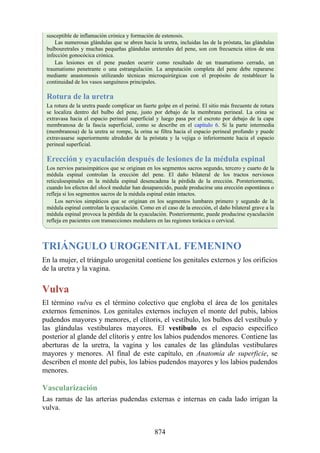 ANATOMIA SNELL 10MA EDICION ESPAÑOL.pdf