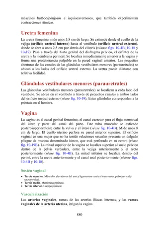 ANATOMIA SNELL 10MA EDICION ESPAÑOL.pdf