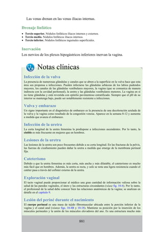 ANATOMIA SNELL 10MA EDICION ESPAÑOL.pdf