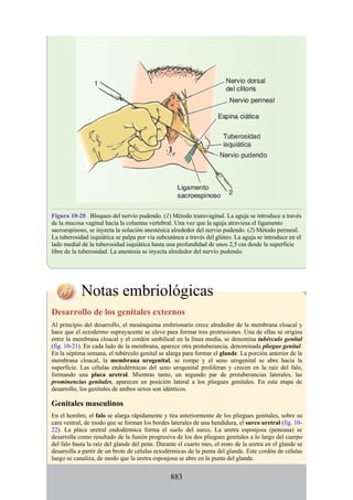 ANATOMIA SNELL 10MA EDICION ESPAÑOL.pdf
