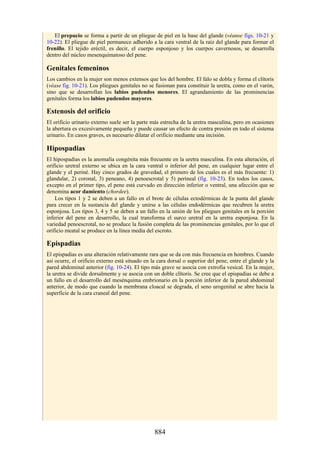 ANATOMIA SNELL 10MA EDICION ESPAÑOL.pdf