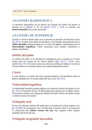 ANATOMIA SNELL 10MA EDICION ESPAÑOL.pdf