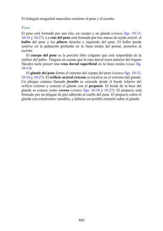 ANATOMIA SNELL 10MA EDICION ESPAÑOL.pdf