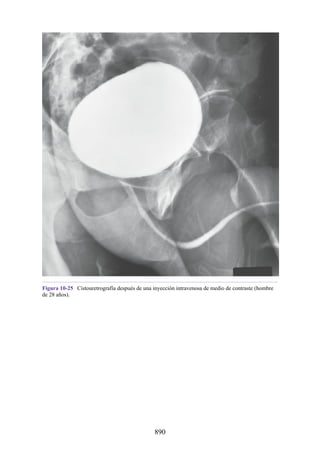 ANATOMIA SNELL 10MA EDICION ESPAÑOL.pdf