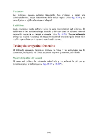 ANATOMIA SNELL 10MA EDICION ESPAÑOL.pdf