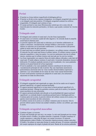 ANATOMIA SNELL 10MA EDICION ESPAÑOL.pdf