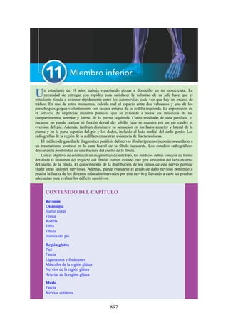 ANATOMIA SNELL 10MA EDICION ESPAÑOL.pdf