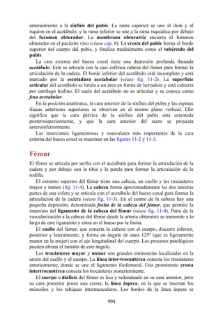 ANATOMIA SNELL 10MA EDICION ESPAÑOL.pdf