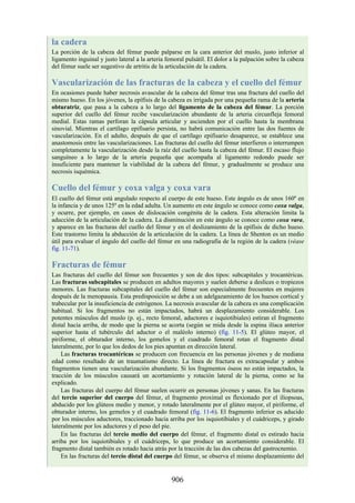 ANATOMIA SNELL 10MA EDICION ESPAÑOL.pdf