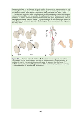 ANATOMIA SNELL 10MA EDICION ESPAÑOL.pdf