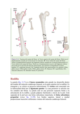 ANATOMIA SNELL 10MA EDICION ESPAÑOL.pdf