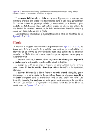 ANATOMIA SNELL 10MA EDICION ESPAÑOL.pdf