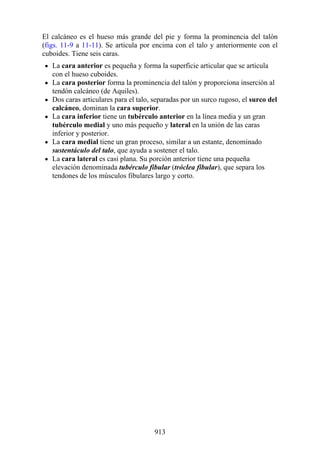 ANATOMIA SNELL 10MA EDICION ESPAÑOL.pdf