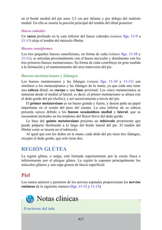 ANATOMIA SNELL 10MA EDICION ESPAÑOL.pdf