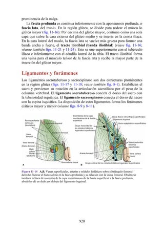 ANATOMIA SNELL 10MA EDICION ESPAÑOL.pdf