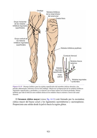 ANATOMIA SNELL 10MA EDICION ESPAÑOL.pdf