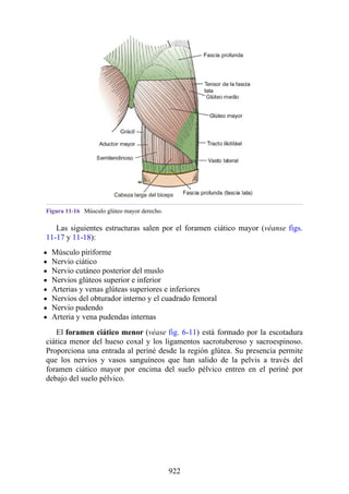 ANATOMIA SNELL 10MA EDICION ESPAÑOL.pdf