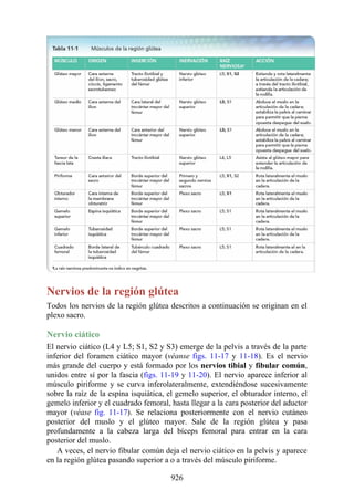 ANATOMIA SNELL 10MA EDICION ESPAÑOL.pdf